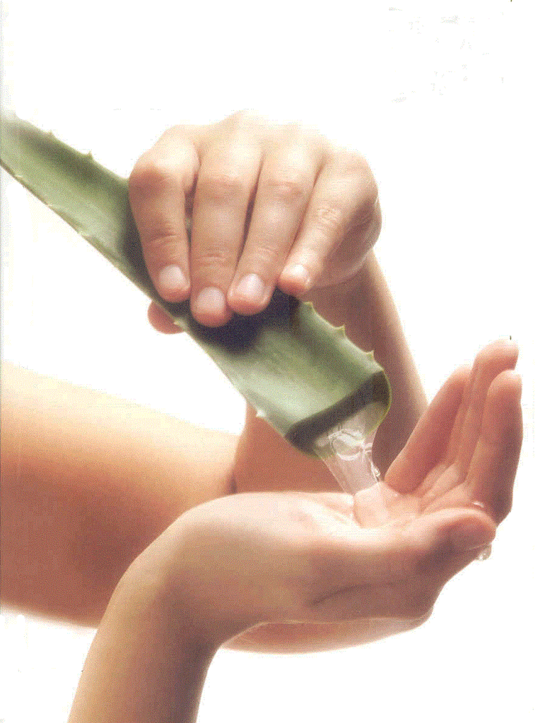 gel d'aloe vera pour le visage