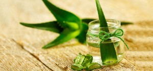 L’aloe vera contre l'acné