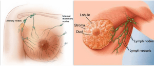 douleur aisselle droite douleur aisselle droite
