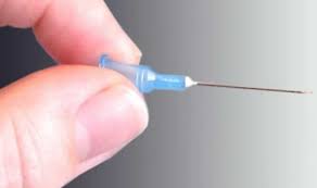 aiguille pour traiter les grains de milium